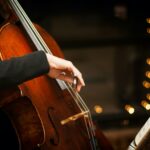 person playing brown violin during daytime